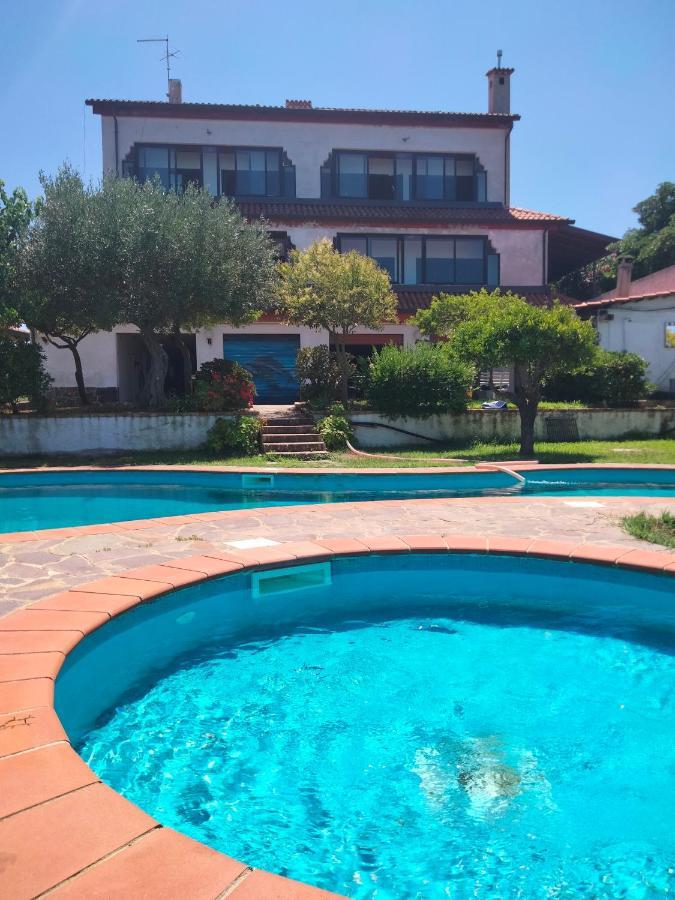 Casa Morello Zambrone Eksteriør bilde