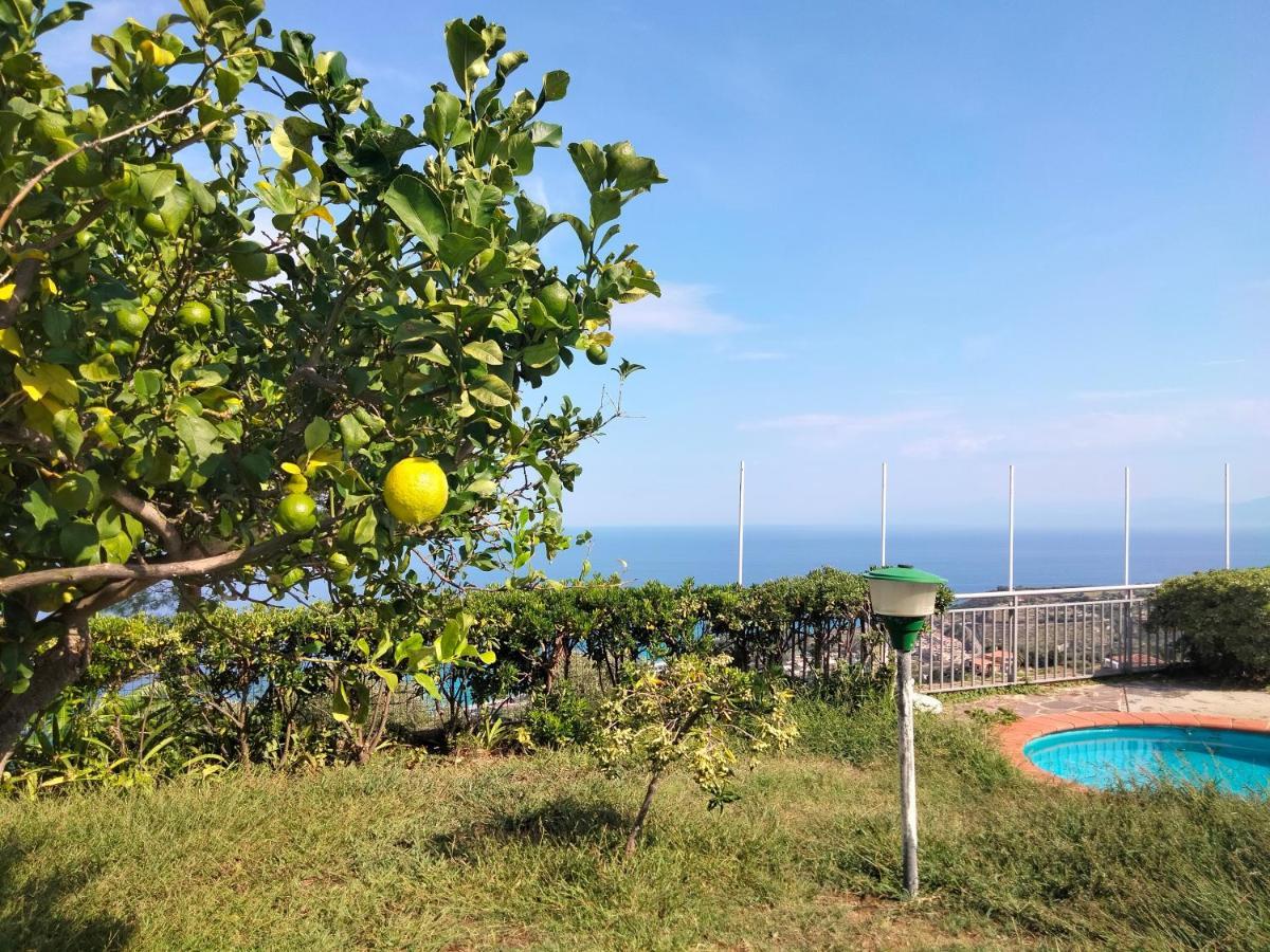 Casa Morello Zambrone Eksteriør bilde